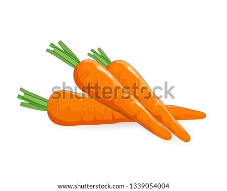Carrots vegetable vector illustration isolated on white background Royalty-Free Stock Photo #1339054004