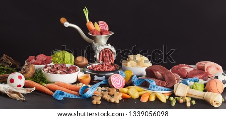 Ingredients for BARF food for dogs in panoramic picture against black background. Preparing meat with grinder among raw stomach, beef hearts, poultry hearts, fresh vegetables and eggs. Measuring tape