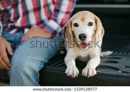 Man and his puppy dog resting on back of a pickup truck. Royalty-Free Stock Photo #1339128977