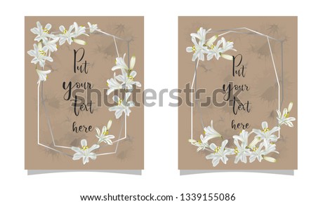 Set of card with agapanthus flower and abstract background-vector
