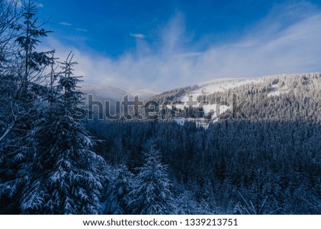 Beautiful view of a winter mountain landscape covered with snow. High peaks and forest on top of Krkonose National Park, Czech republic. Huts, cottage and mountain rustic houses on moutainside.