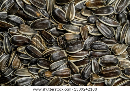 Roasted sunflower seeds. Top view