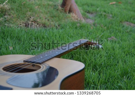 Acoustic guitar placed on green grass