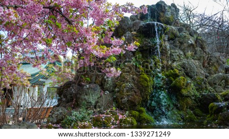 Kosanji Temple with cherry blossoms in full bloom, a small waterfall and a 5-storied Gojunoto Pagoda in the background, located at Ikuchi Island along the Shimanami Kaido.