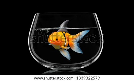Goldfish with shark fin swim in fish bowl, Gold fish in black water . Mixed media Royalty-Free Stock Photo #1339322579