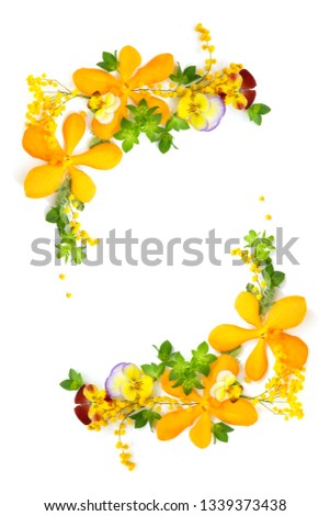 floral background of spring flowers
