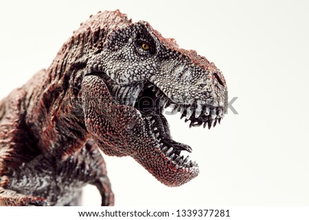 dinosaurs in action on white background