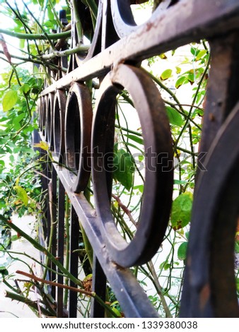 Iron fence with plants 