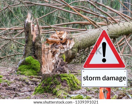 Warning sign "Storm Damage" tree