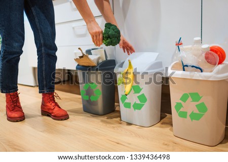 Waste sorting at home. Cropped view of woman putting broccoli in the garbage bin. Colorful trash bins for sorting waste in the kitchen Royalty-Free Stock Photo #1339436498