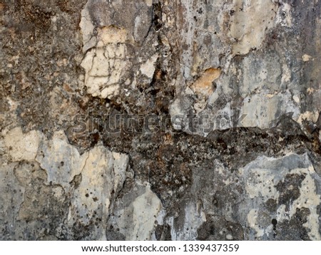 Texture of the surface of the old wall