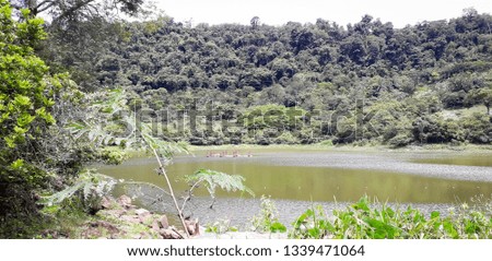 River on a florest on Itamatamirim, interior of pernambuco, Brazil.