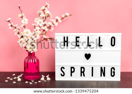 Sprigs of apricot tree with flowers in vase and lightbox with quote Hello spring on wooden table and pink wall background. Sesonal concept of march, april, may came, happy easter, mother's day. 
