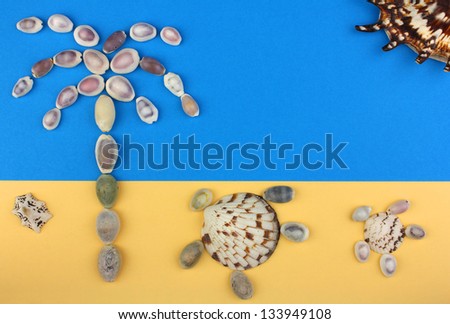 picture of seashells, tropical beach, palm tree, two turtles and sun(sand and sky)