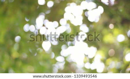 Abstract blur green nature the background