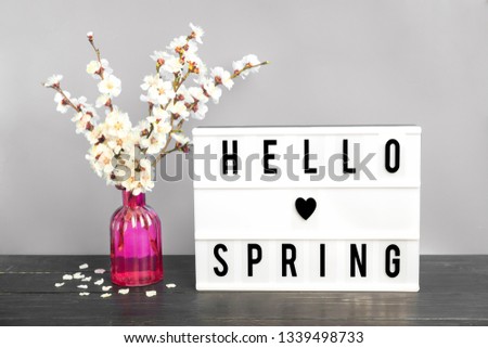 Sprigs of apricot tree with flowers in vase and lightbox with quote Hello spring on wooden table and gray wall background. Sesonal concept of march, april, may came, happy easter, mother's day. 