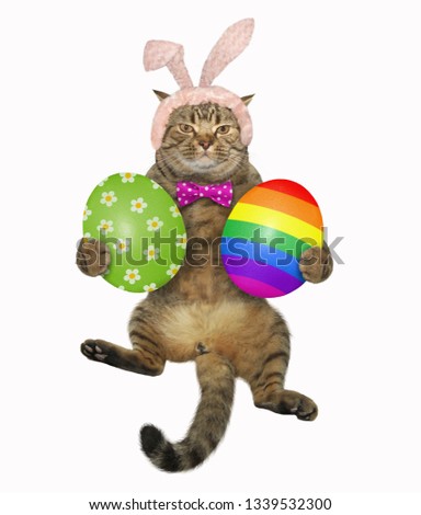 The cute cat in easter bunny ears and a bow tie holds the two big painted eggs. White background.