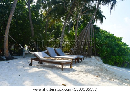 Wooden sandals stand under palm trees on a white sand beach on a bright sunny day, Maldives