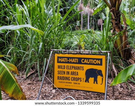 Yellow and black sign caution elefants in the jungle.
