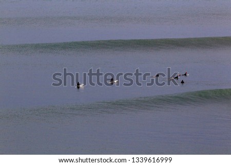 Surfers in Bells Beach, Victoria, Australia.