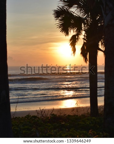 Florida Beach Sunsets, Sunrises and Flowers