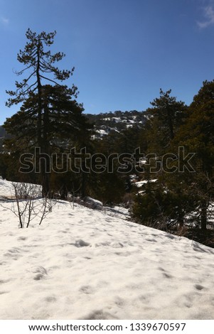 Cyprus mountain snow