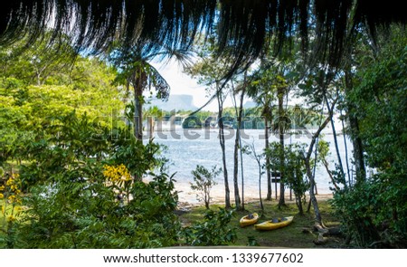 Lagoon and waterfalls. Canaima National Park, Venezuela