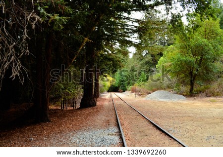 abandoned railroad tracks in the forest northern california