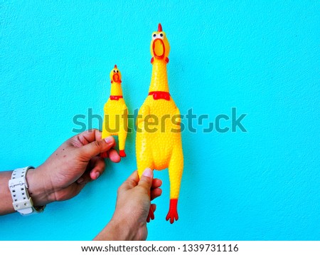 Hand holding rubber toy yellow shriek chicken on blue background. Squeaky Chicken toy on the pool.