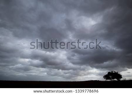 Silhouetted windswept stunted tree on farm grassland field in rural Hampshire against dramatic rain clouds Royalty-Free Stock Photo #1339778696