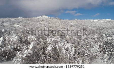 Fantastic winter landscape of high mountain and snowy forest on cloudy, blue sky background. Shot. Sunny day in white, winter rocks and trees covered with snow against bright sky.
