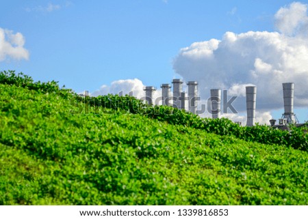 Pipes of the plant from which there is white smoke on the background of a green lawn.