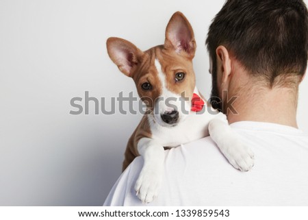 Handsome man snuggling and hugging his basenji puppy dog, close friendship against a white background