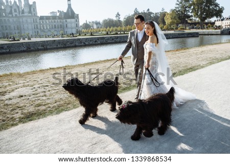 Happy newlyweds walk and take pictures with their pets, funny dogs