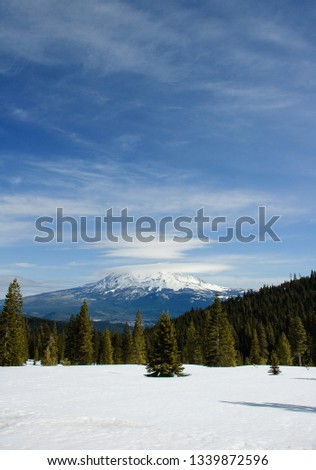 A landscape picture of Mount Shasta with trees on the foreground,