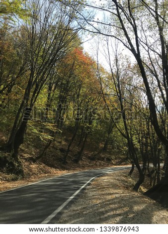 National park of Dajti Mountain in Tirana, Albania. Dajti mountain road though the colorful trees during fall season.