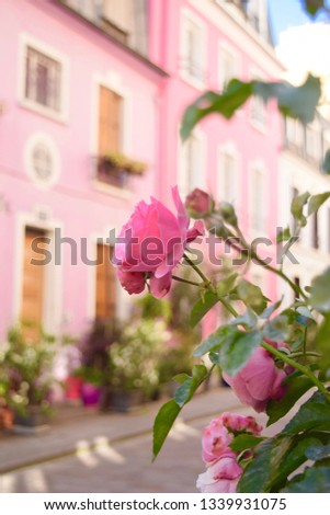 Colorful Streets of Paris  Royalty-Free Stock Photo #1339931075