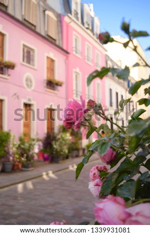 Colorful Streets of Paris  Royalty-Free Stock Photo #1339931081