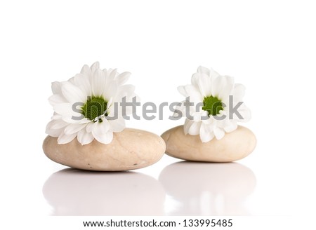 Spa stones and flowers isolated on the white background.