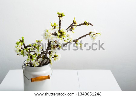 blossoming cherry flower branch at milk canister, white wood table