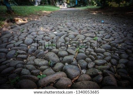road pathway or walks from black stone structure on the green park garden Royalty-Free Stock Photo #1340053685