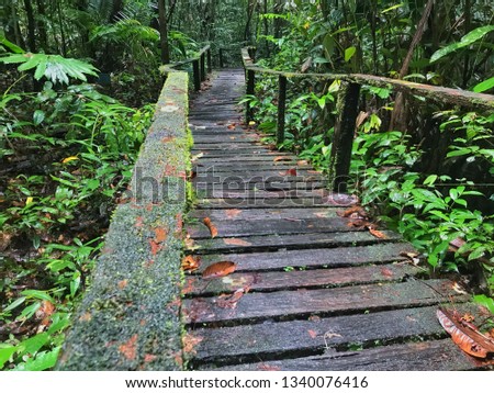 Trail to Kubah Nasional Park waterfall in Kuching Sarawak 
