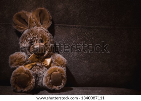 cute plush toy bunny sits on a sofa in a dark illuminated beam of light
