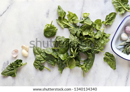 Spinach. Flat lay of fresh spinach on marble table