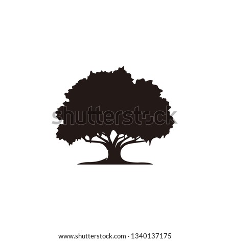 Oak tree icon isolated on white background