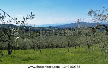 A spring day in tuscany, itay