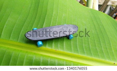 Cool skateboard objects on green leaves.