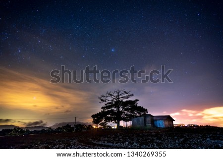 Starry night landscape with trees and the small house
