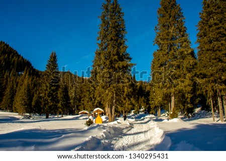 Winter nature on the road to Pestera Ialomitei Cave and Monastery, Dambovita County, Romania