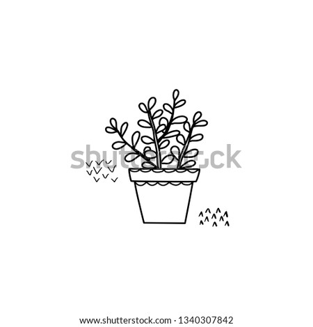 Cute cactus in patterned pot. 
Isolated object of succulent and pot. Perfect for t-shirt, apparel, cards, poster, nursery decoration. Scandinavian style.